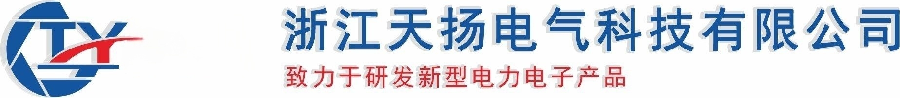 预付费电表-智能电表-电表厂家-浙江天扬电气科技有限公司